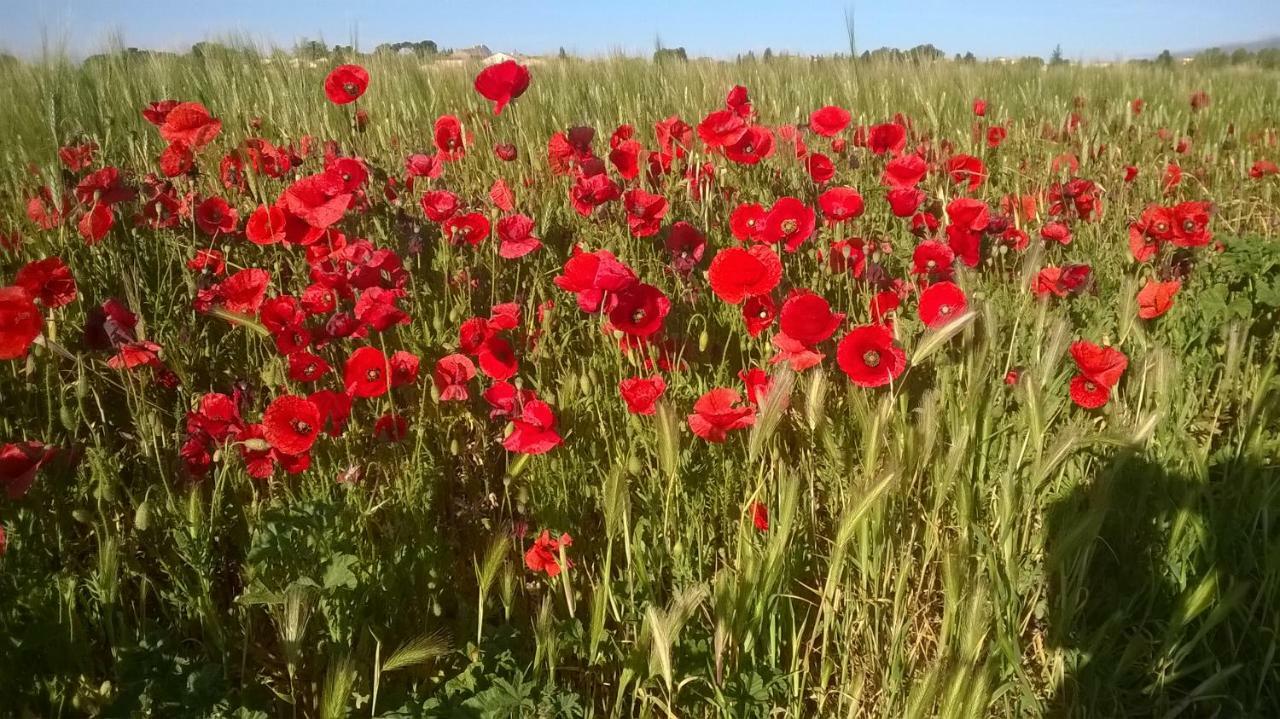 לינה וארוחת בוקר Saint-Nazaire-d'Aude Le Relais Du Bouchon מראה חיצוני תמונה